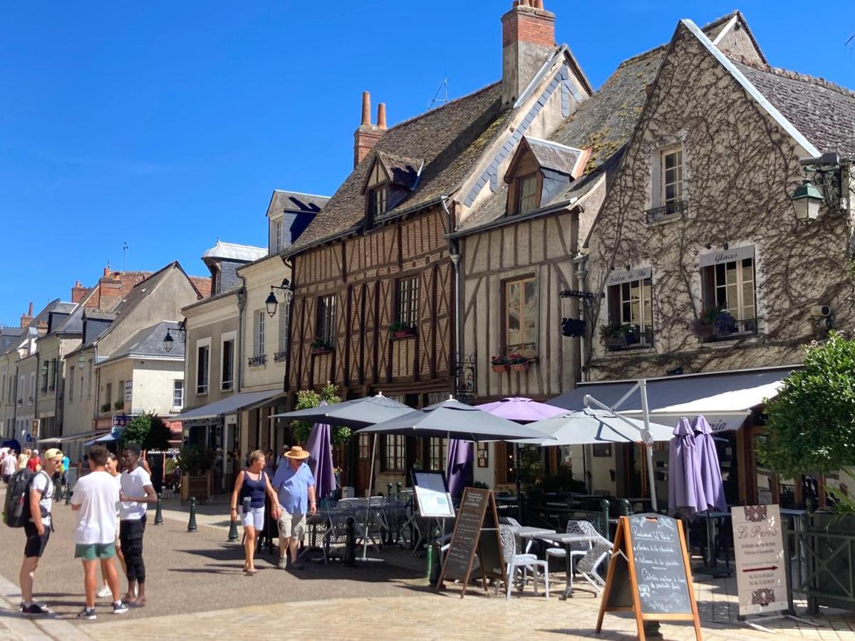 L'Amboisienne, Au Pays Des Chateaux Amboise Luaran gambar